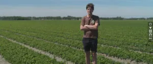 Thijs van den Berg van Boltha BV, ziet duurzame vooruitgang met de inzet van de laser weeder.