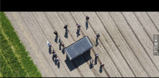 Journey to sustainable flower bulb cultivation Velddag “Pilot Duurzame Teelt van Tulp & Bijgoed”